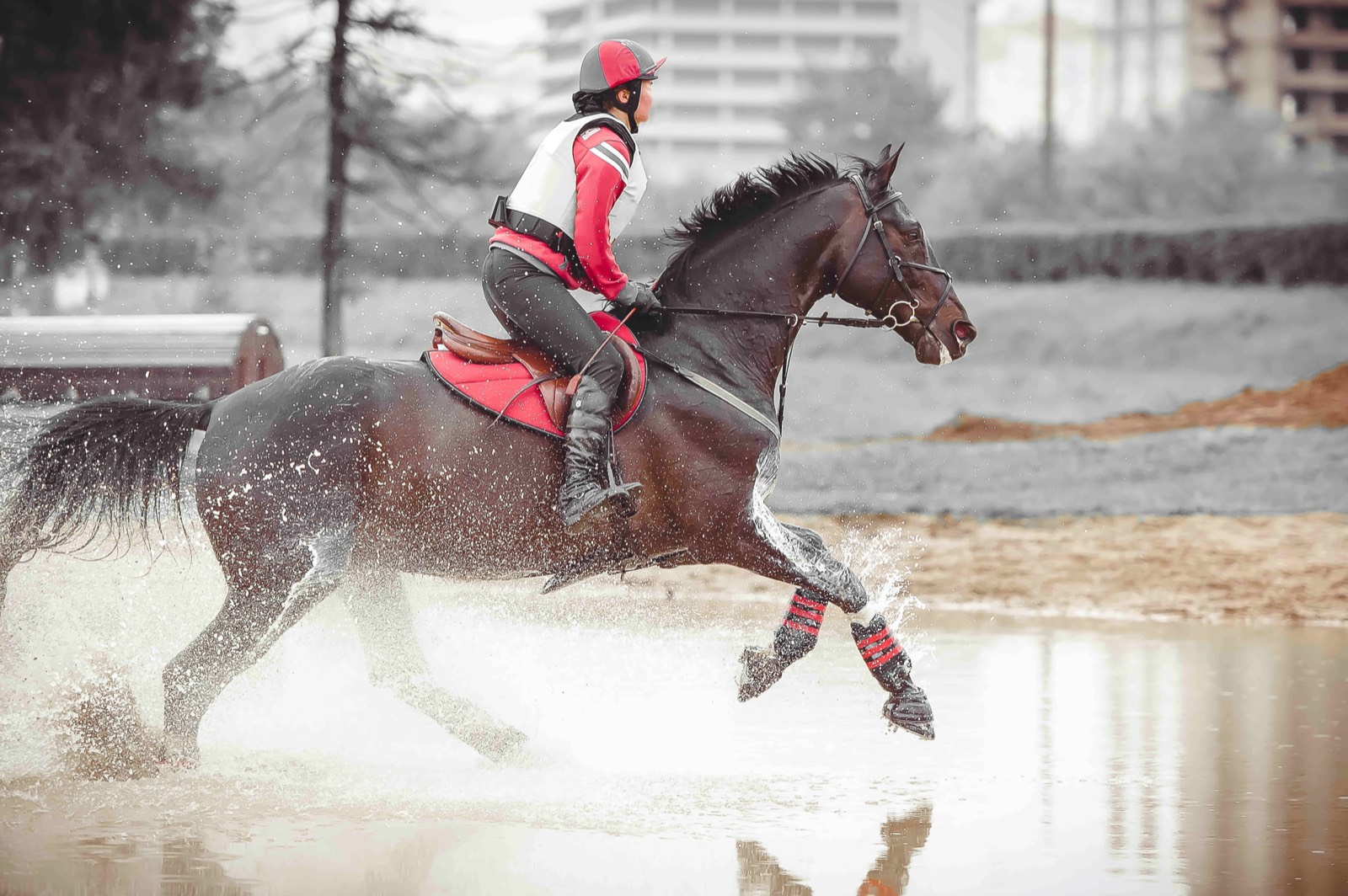 3-Day Eventing
